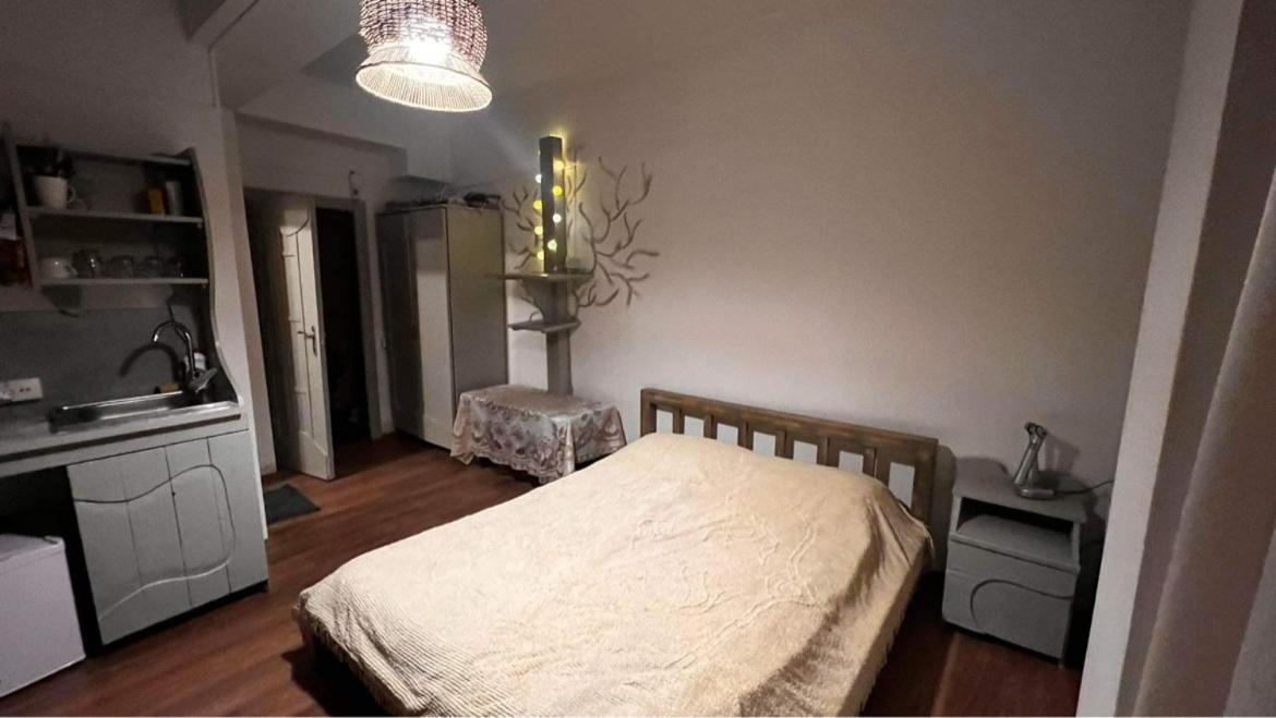 Hotel Mgzavrebi Bakuriani Zewnętrze zdjęcie