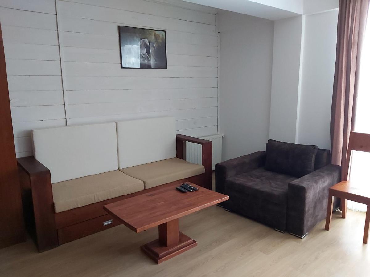 Hotel Mgzavrebi Bakuriani Zewnętrze zdjęcie